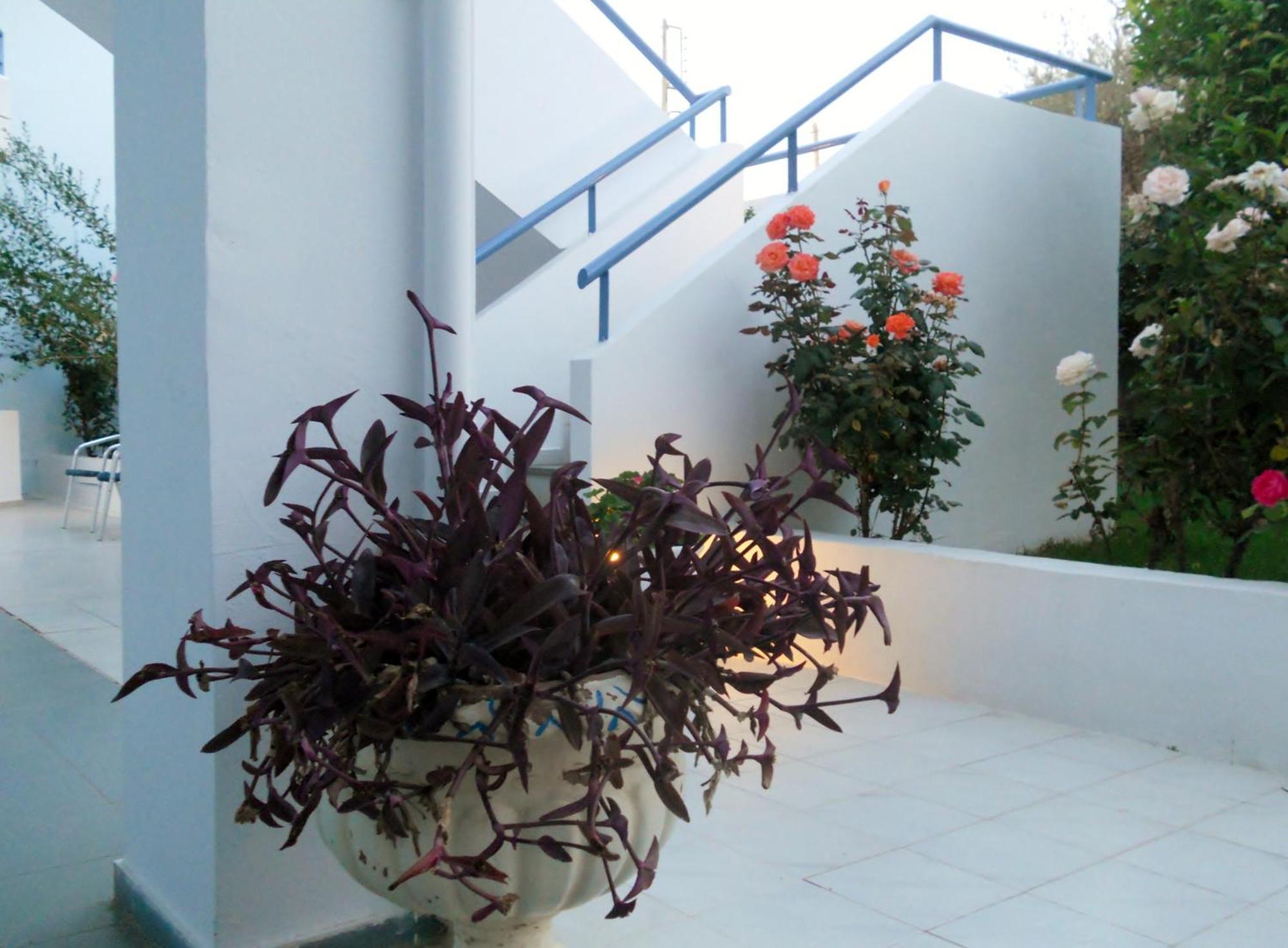 Dimitra Apartment Hotel Skafidia Exterior foto